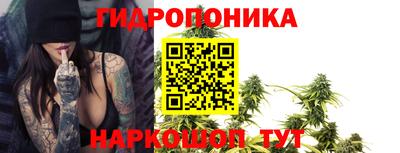 хмурый Краснознаменск