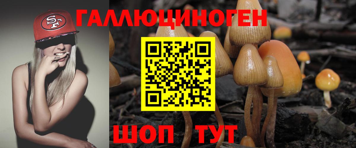 Псилоцибиновые грибы ЛСД Карачаевск